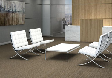 Intellect Carpet Tile by Shaw Floors | Philadelphia Commercial 
