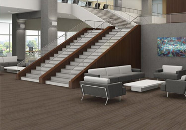 24x24 Carpet Tiles by Shaw Floors