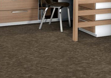 Shared Force by Shaw Floors | Philadelphia Commercial Carpet Tile