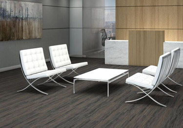 United Force by Shaw Floors | Philadelphia Commercial Carpet Tile
