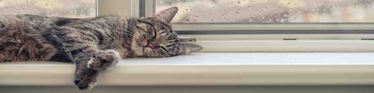 Window Sill Products