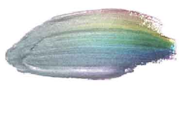 cs metallics sheets