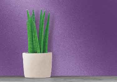 cs metallics sheets