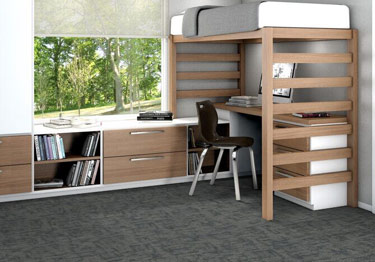 Shaw carpet 