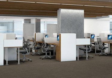 Shaw carpet tiles