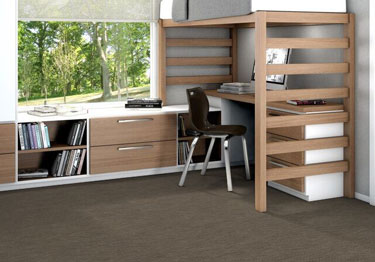 Shaw carpet tiles