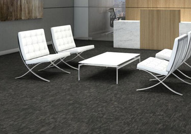 Shaw commercial carpet tiles