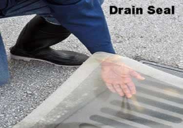 drain seal