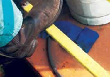 ladder rungs non slip fiberglass