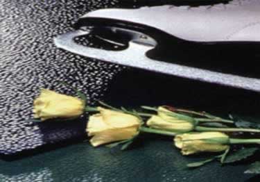 roppe spike skate rubber tiles