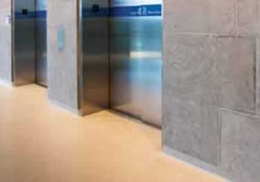 mapei cleaners