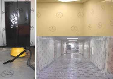 all surface protection film