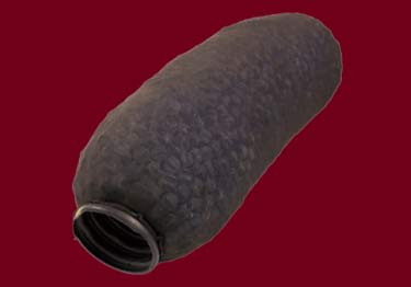 ezflow french drain system