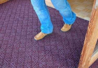 waterhog eco premier tiles