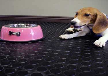 colored rubber flooring rolls