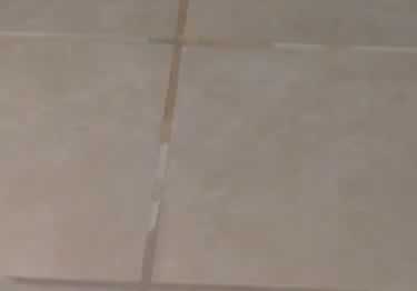 mapei grout maximizer