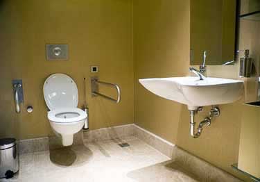 grab bars stainless steel angled