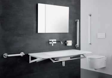 designer stainless grab bars