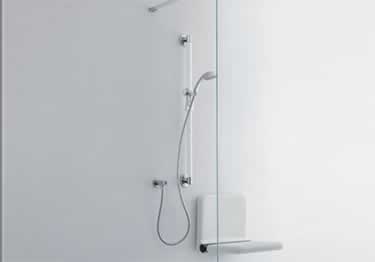designer stainless grab bars